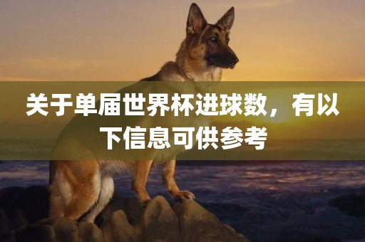 关于单届世界杯进球数，有以下信息可供参考