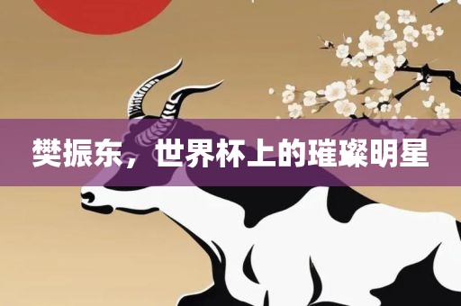 樊振东，世界杯上的璀璨明星