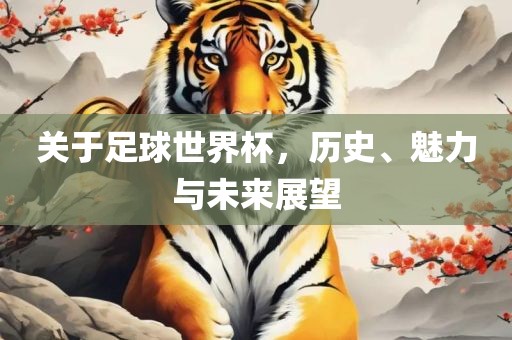 关于足球世界杯，历史、魅力与未来展望广西贺州市华昌新材料有限公司