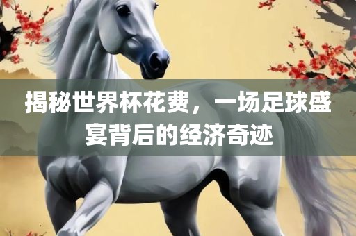 揭秘世界杯花费，一场足球盛宴背后的经济奇迹广西贺州市华昌新材料有限公司