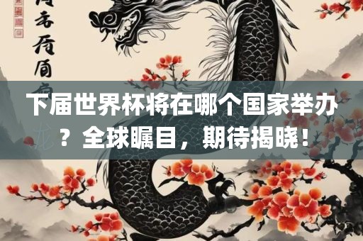 下届世界杯将在哪个国家举办？全球瞩目，期待揭晓！