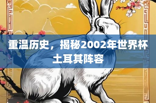 重温历史，揭秘2002年世界杯土耳其阵容