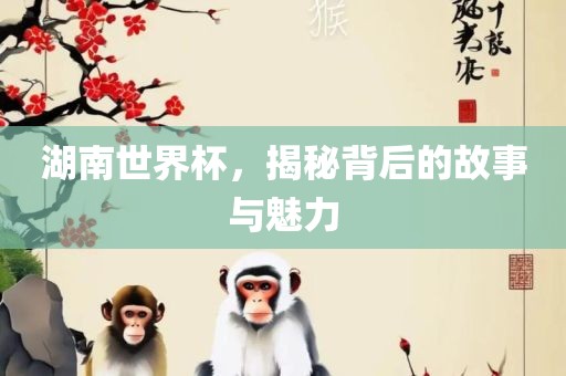 湖南世界杯，揭秘背后的故事与魅力