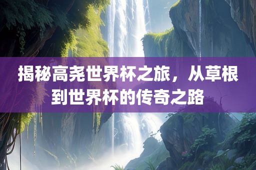 揭秘高尧世界杯之旅，从草根到世界杯的传奇之路