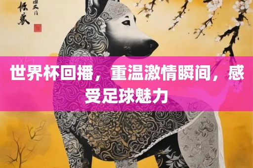 世界杯回播，重温激情瞬间，感受足球魅力广西贺州市华昌新材料有限公司