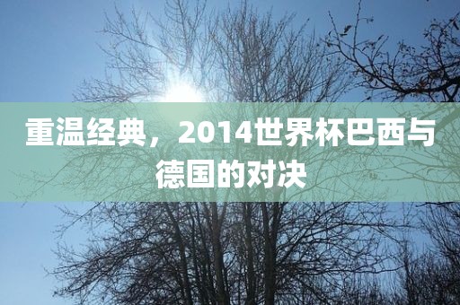 重温经典，2014世界杯巴西与德国的对决