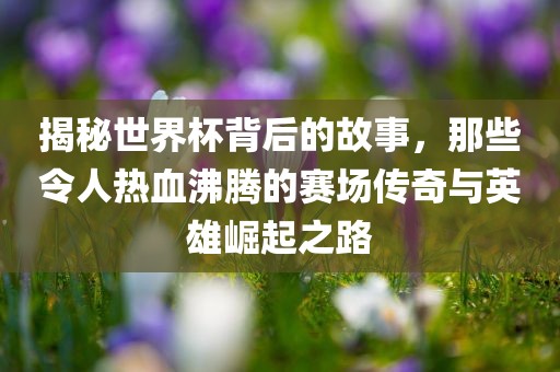 揭秘世界杯背后的故事，那些令人热血沸腾的赛场传奇与英雄崛起之路广西贺州市华昌新材料有限公司