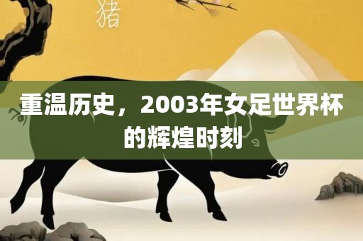 重温历史，2003年女足世界杯的辉煌时刻