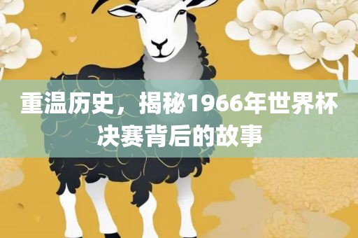 重温历史，揭秘1966年世界杯决赛背后的故事