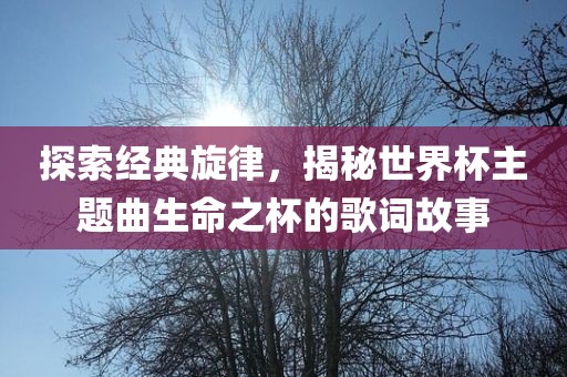 探索经典旋律，揭秘世界杯主题曲生命之杯的歌词故事