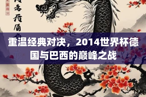 重温经典对决，2014世界杯德国与巴西的巅峰之战