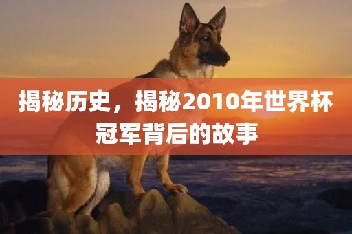 揭秘历史，揭秘2010年世界杯冠军背后的故事