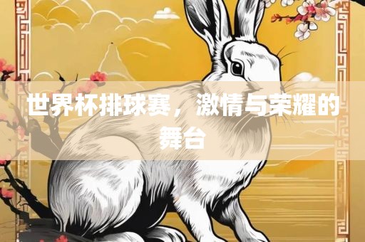世界杯排球赛，激情与荣耀的舞台