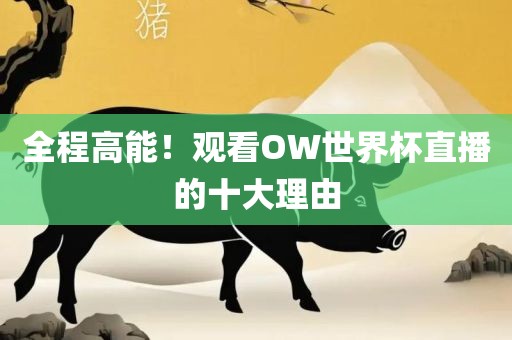 全程高能！观看OW世界杯直播的十大理由广西贺州市华昌新材料有限公司