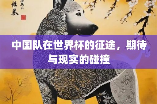 中国队在世界杯的征途，期待与现实的碰撞