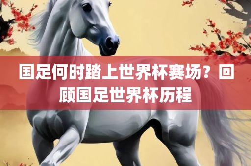 国足何时踏上世界杯赛场？回顾国足世界杯历程广西贺州市华昌新材料有限公司