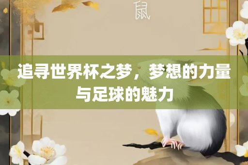 追寻世界杯之梦，梦想的力量与足球的魅力