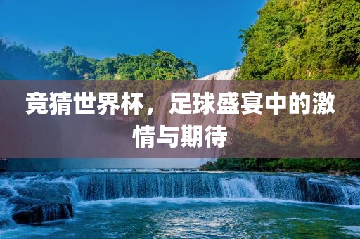 竞猜世界杯，足球盛宴中的激情与期待