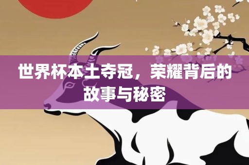 世界杯本土夺冠，荣耀背后的故事与秘密广西贺州市华昌新材料有限公司