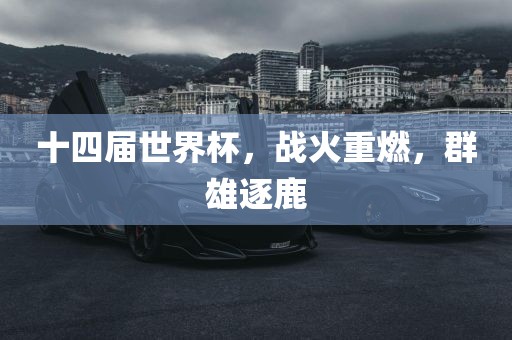 十四届世界杯，战火重燃，群雄逐鹿广西贺州市华昌新材料有限公司