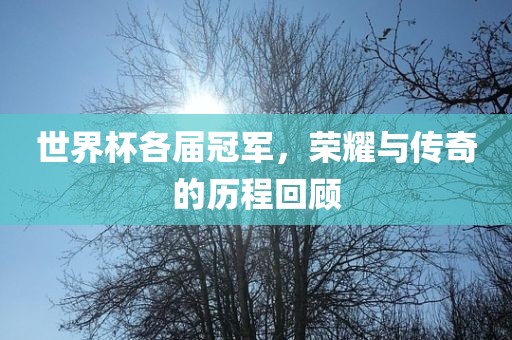 世界杯各届冠军，荣耀与传奇的历程回顾