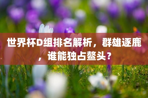 世界杯D组排名解析，群雄逐鹿，谁能独占鳌头？广西贺州市华昌新材料有限公司