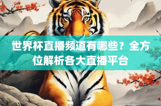 世界杯直播频道有哪些？全方位解析各大直播平台