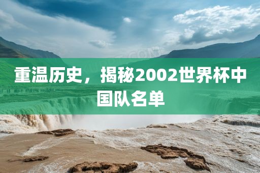 重温历史，揭秘2002世界杯中国队名单