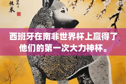 西班牙在南非世界杯上赢得了他们的第一次大力神杯。