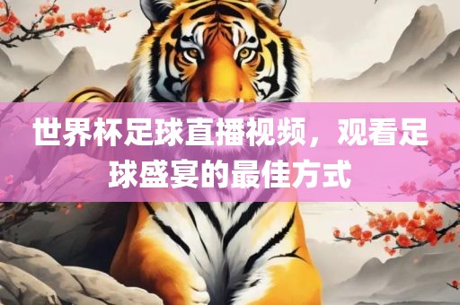 世界杯足球直播视频，观看足球盛宴的最佳方式
