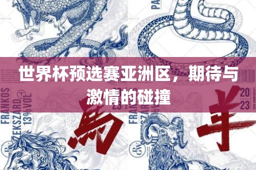 世界杯预选赛亚洲区，期待与激情的碰撞