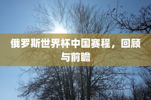 俄罗斯世界杯 第4页