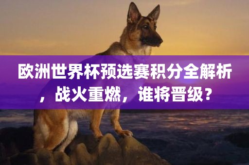 欧洲世界杯预选赛积分全解析，战火重燃，谁将晋级？