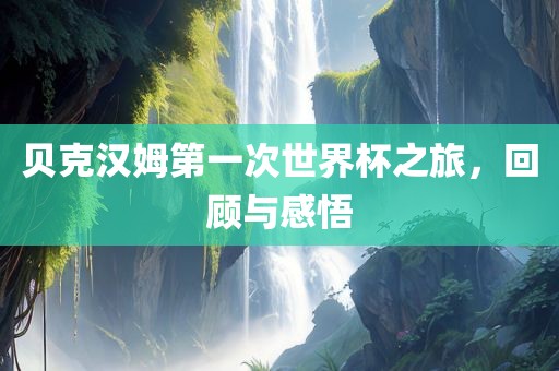 贝克汉姆第一次世界杯之旅广西贺州市华昌新材料有限公司，回顾与感悟