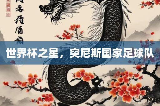 世界杯之星，突尼斯国家足球队
