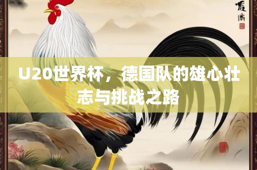 U20世界杯，德国队的雄心壮志与挑战之路