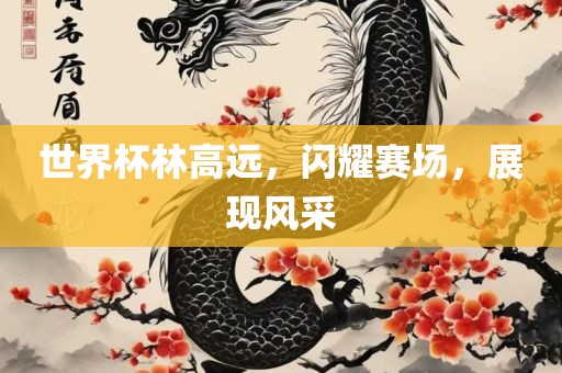 世界杯林高远，闪耀赛场，展现风采