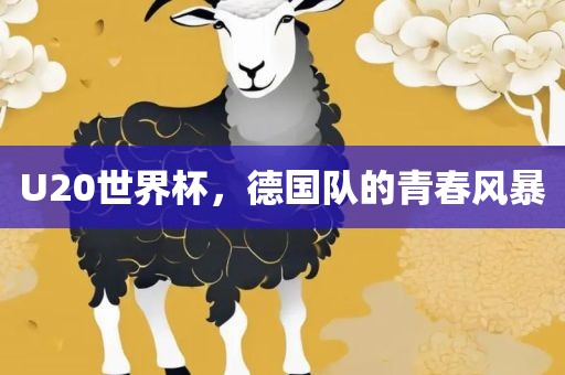 U20世界杯，德国队的青春风暴