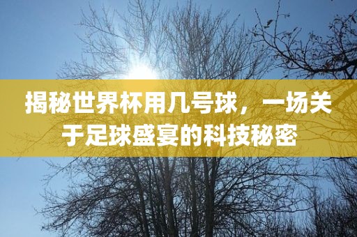 揭秘世界杯用几号球，一场关于足球盛宴的科技秘密