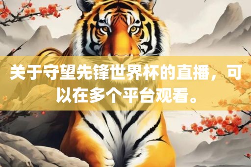 关于守望先锋世界杯的直播，可以在多个平台观看。
