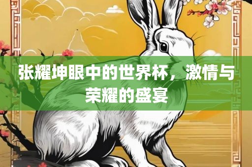 张耀坤眼中的世界杯，激情与荣耀的盛宴