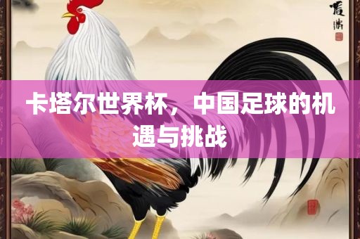 卡塔尔世界杯，中国足球的机遇与挑战