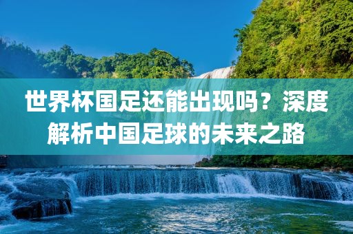 世界杯国足还能出现吗？深度解析中国足球的未来之路