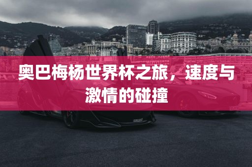 奥巴梅杨世界杯之旅，速度与激情的碰撞