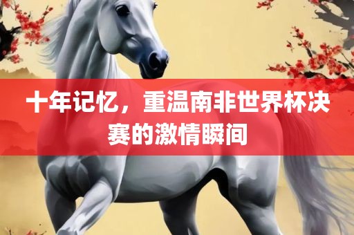 十年记忆，重温南非世界杯决赛的激情瞬间