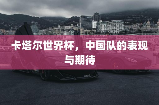 卡塔尔世界杯，中国队的表现与期待
