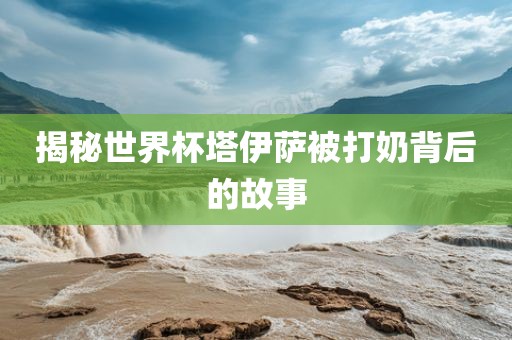 揭秘世界杯塔伊萨被打奶背后的故事广西贺州市华昌新材料有限公司