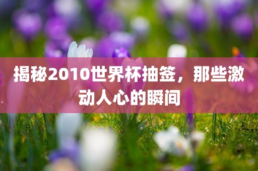 揭秘2010世界杯抽签，那些激动人心的瞬间
