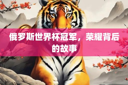 俄罗斯世界杯冠军，荣耀背后的故事