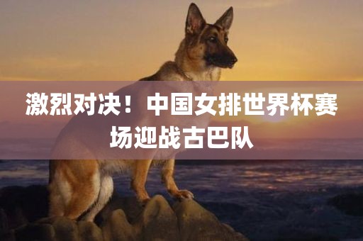 激烈对决！中国女排世界杯赛场迎战古巴队